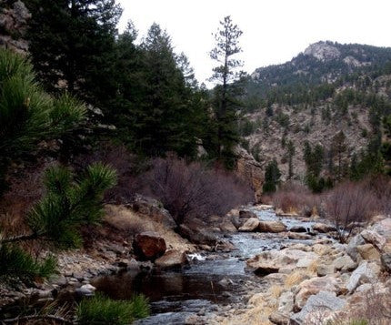 Big Thompson River St. Peter's Fly Shop