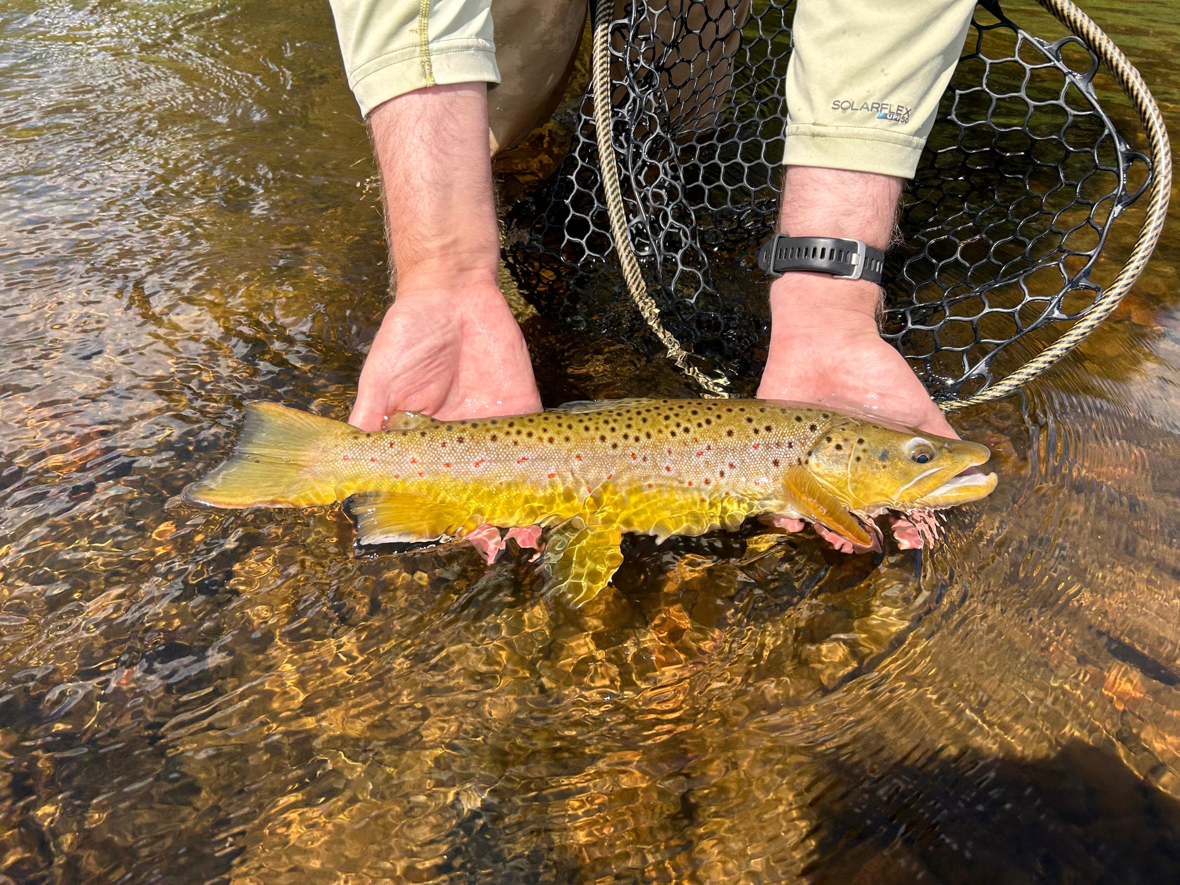 Laramie River Dry Flies