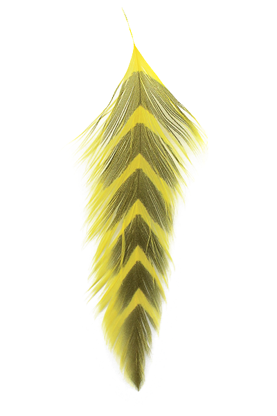 Montana Fly Co. Galloup's Fish Feathers