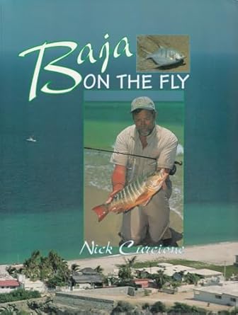 Baja on the fly