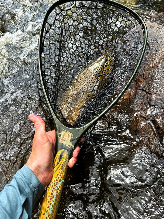 Fishpond/SPFS Custom Poudre Brown Trout Edition Mid-Length Net