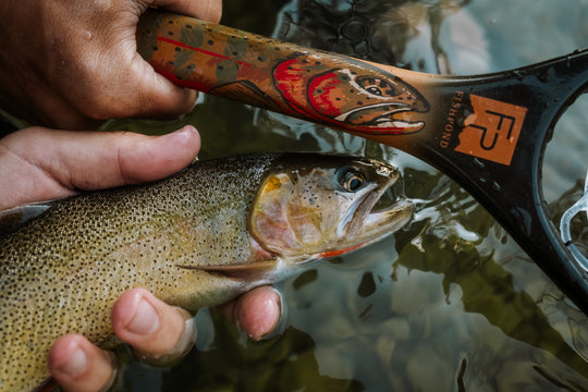 Limited Edition Nomad Canyon Net - Colorado Cutty