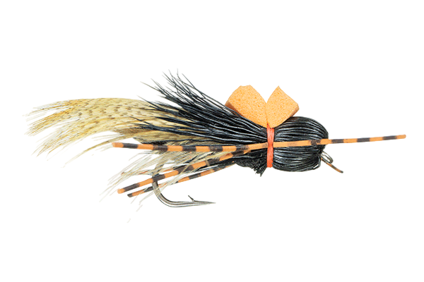 Flutter Nugget Cicada