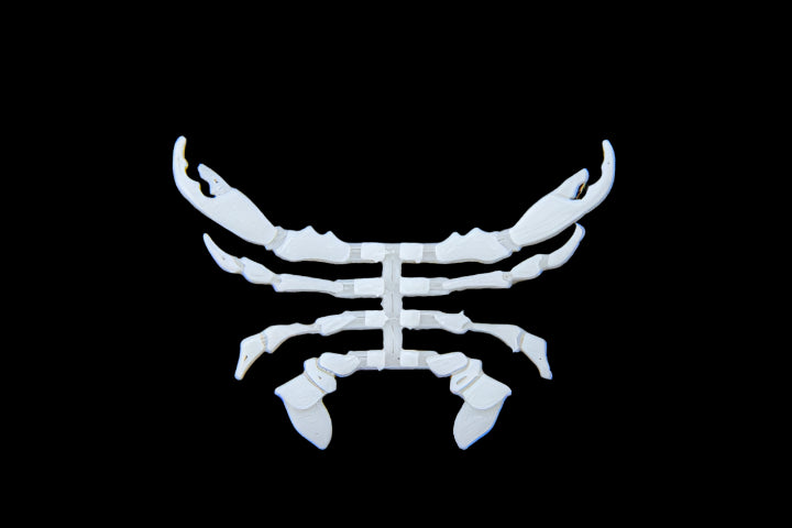 Flats Craft Mandaclawrian Crab Legs