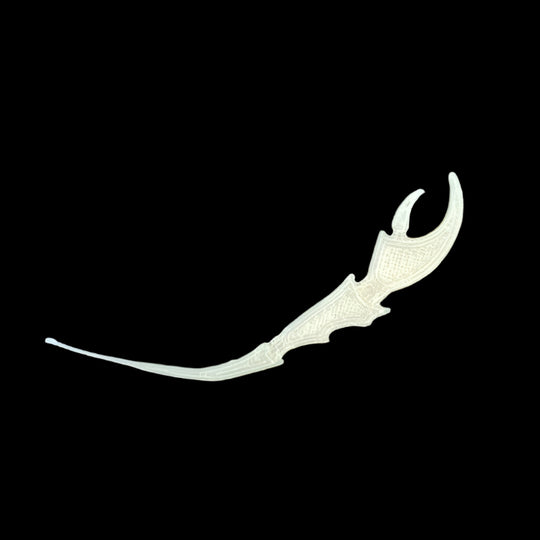 Flats Craft Crab Claw