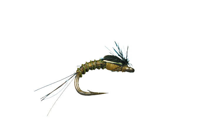 BTS Nymph