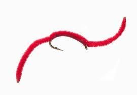 San Juan Worm