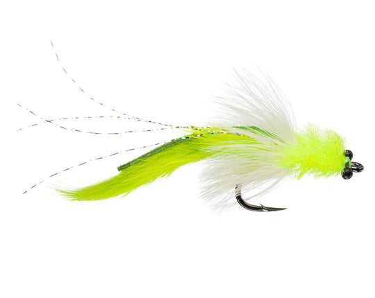 Tarpon Toad (small)