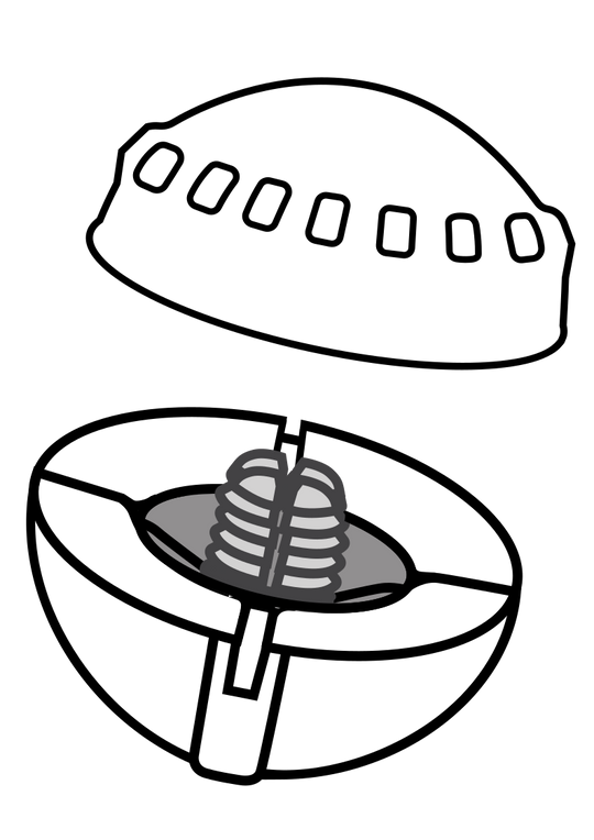 Airlock Centerlock Bulk Indicators