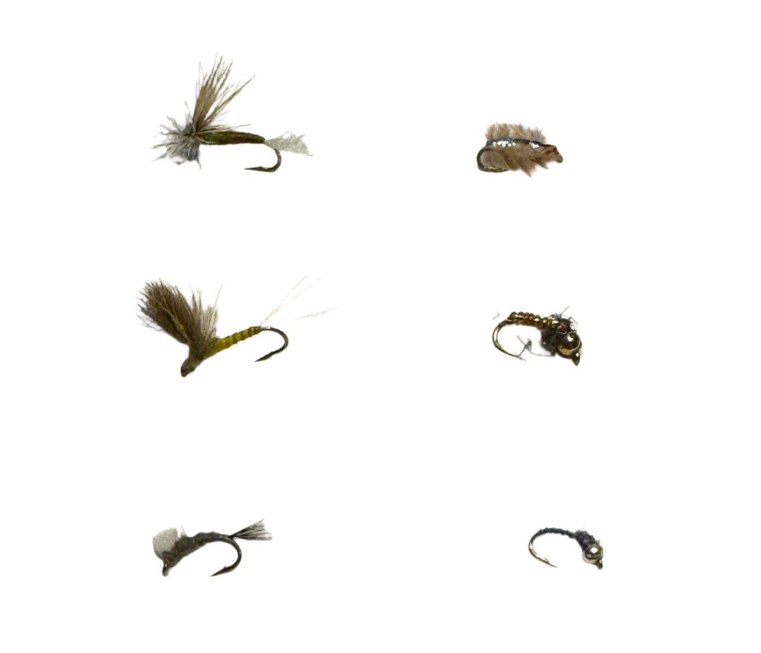 Big Thompson River Fly Assortment