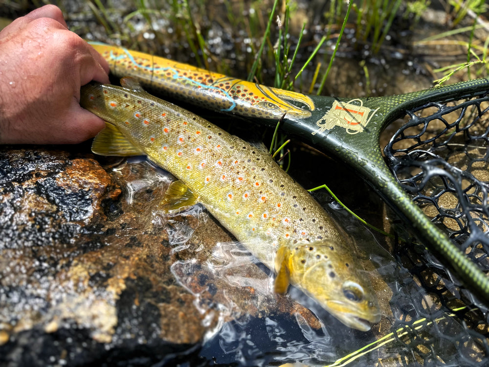 Fishpond/SPFS Custom Poudre Brown Trout Edition Mid-Length Net