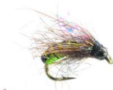 Graphic Caddis
