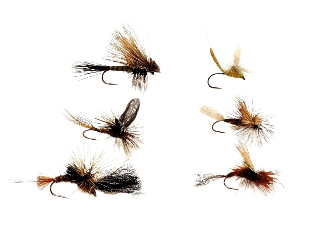 July Dry Fly Assortment