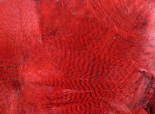 Hareline Mallard Flank