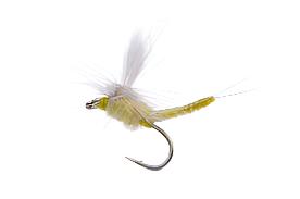 Extended Body Parachute Dry Fly