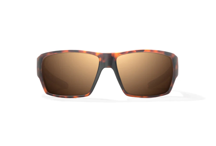 Bajio Vega: Brown Tort Matte Frame / Copper Mirror Poly / Large