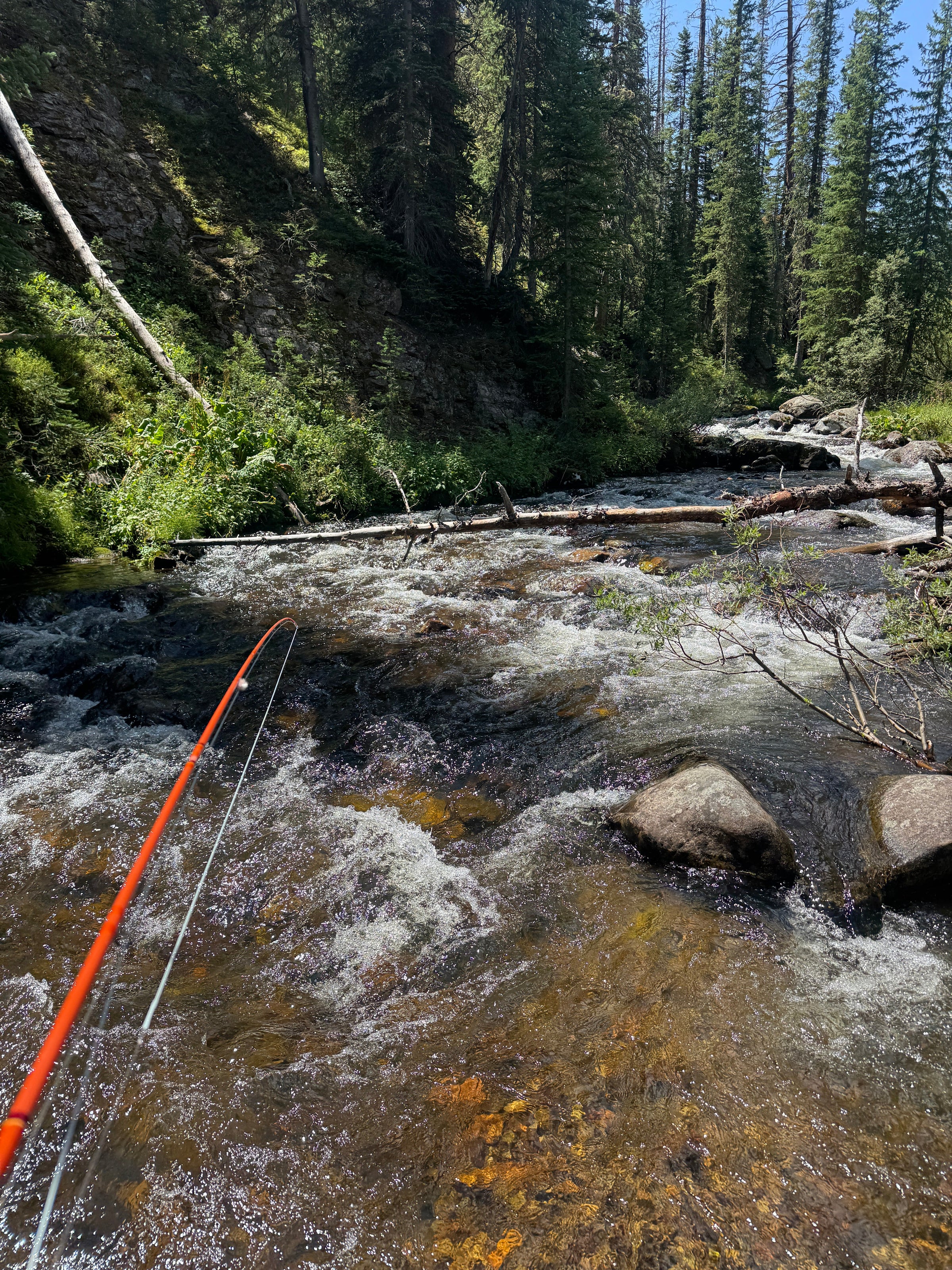 Creek Collection