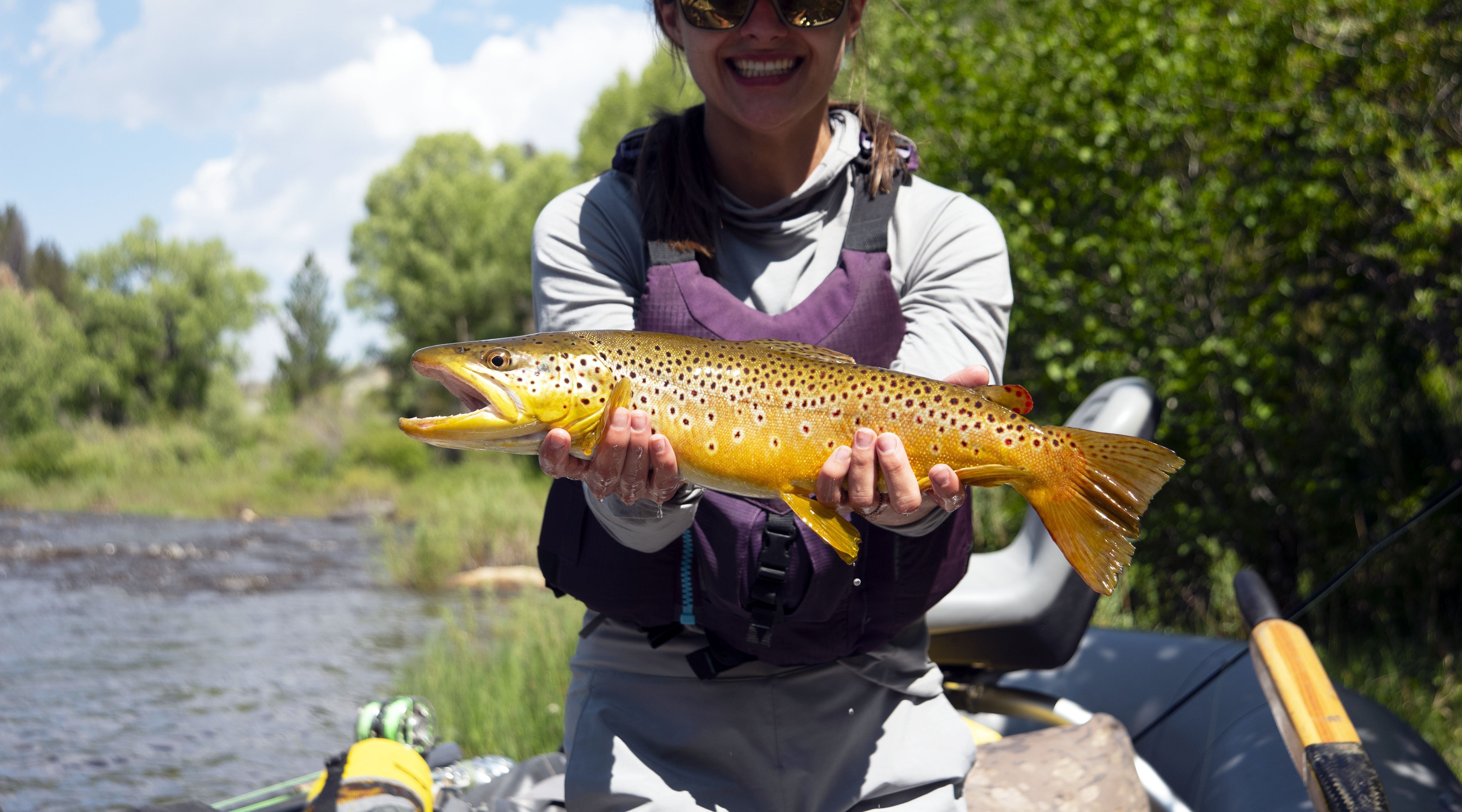 Upper North Platte Nymphs