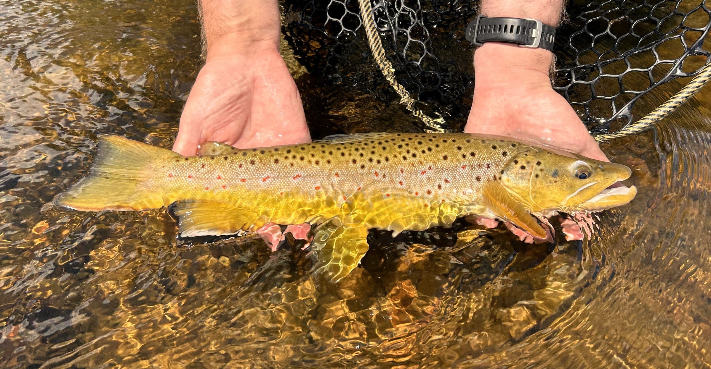 Poudre River Fall Collection