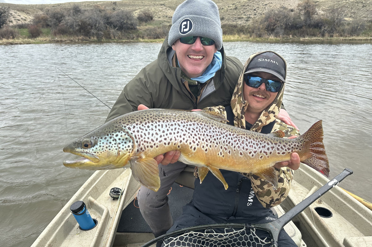 Grey Reef Streamers – St. Peter's Fly Shop