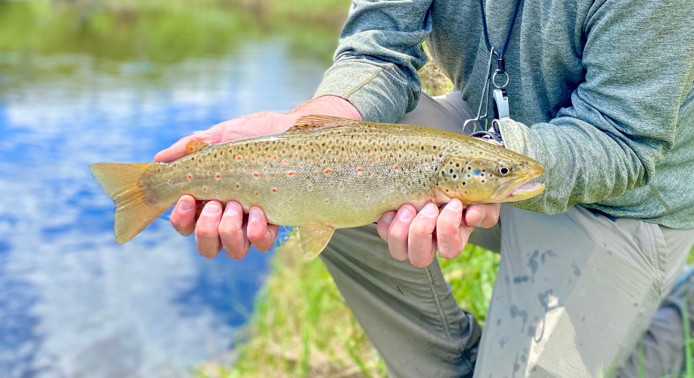 Laramie River Streamers