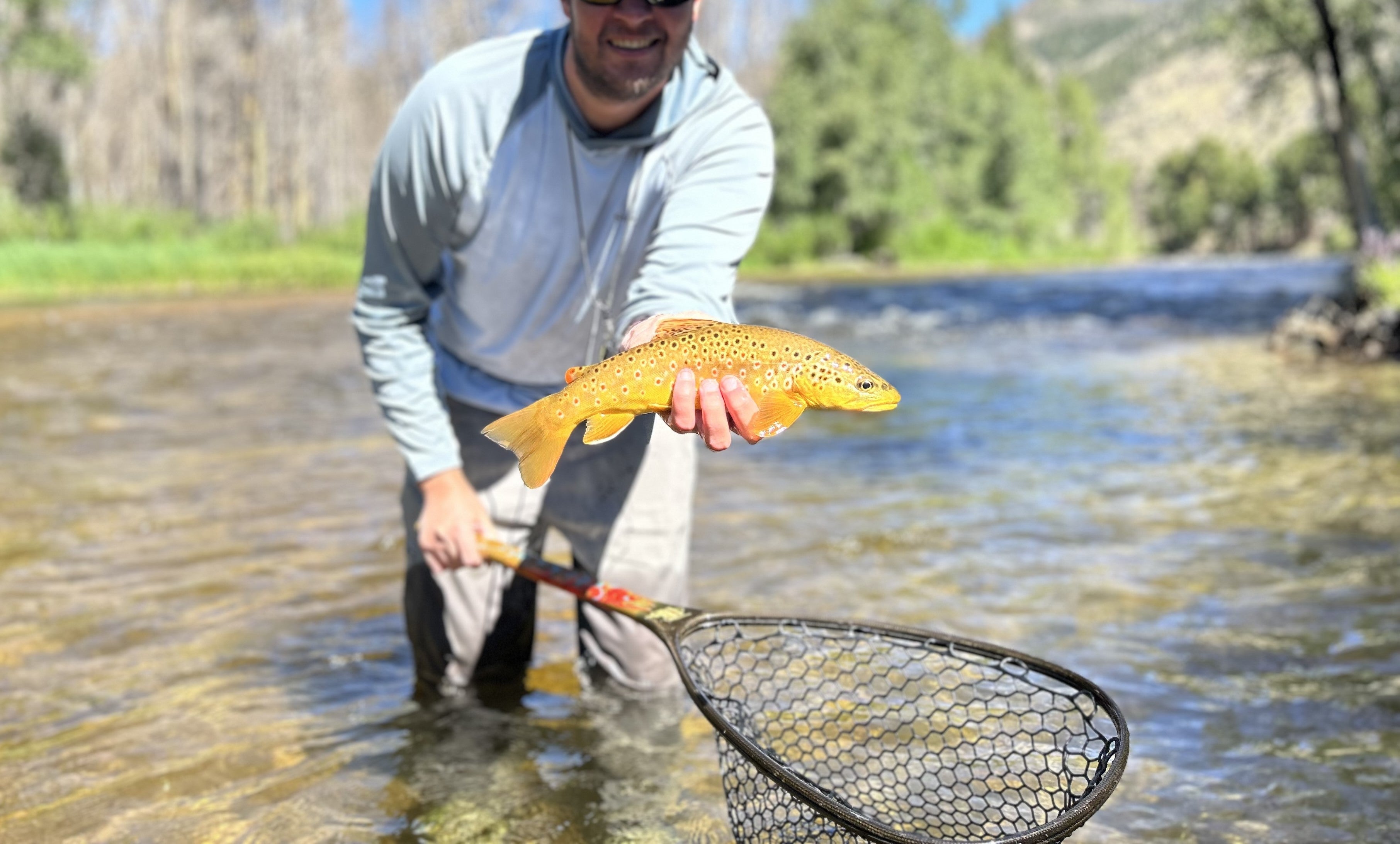 Big Thompson Nymphs