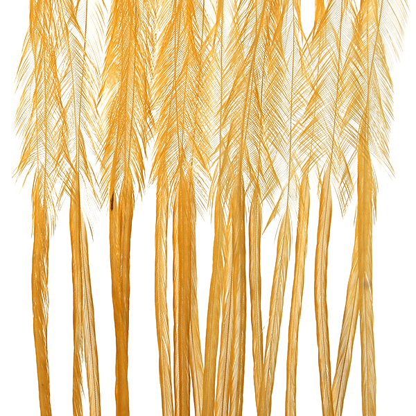 MFC Whiting 100 Pk Golden Straw