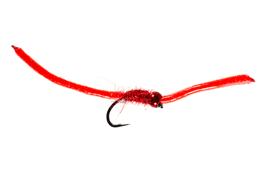 Trina's Worm