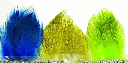 Large Mallard Barred Flank