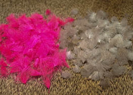 Nature's Spirit CDC Tuffs