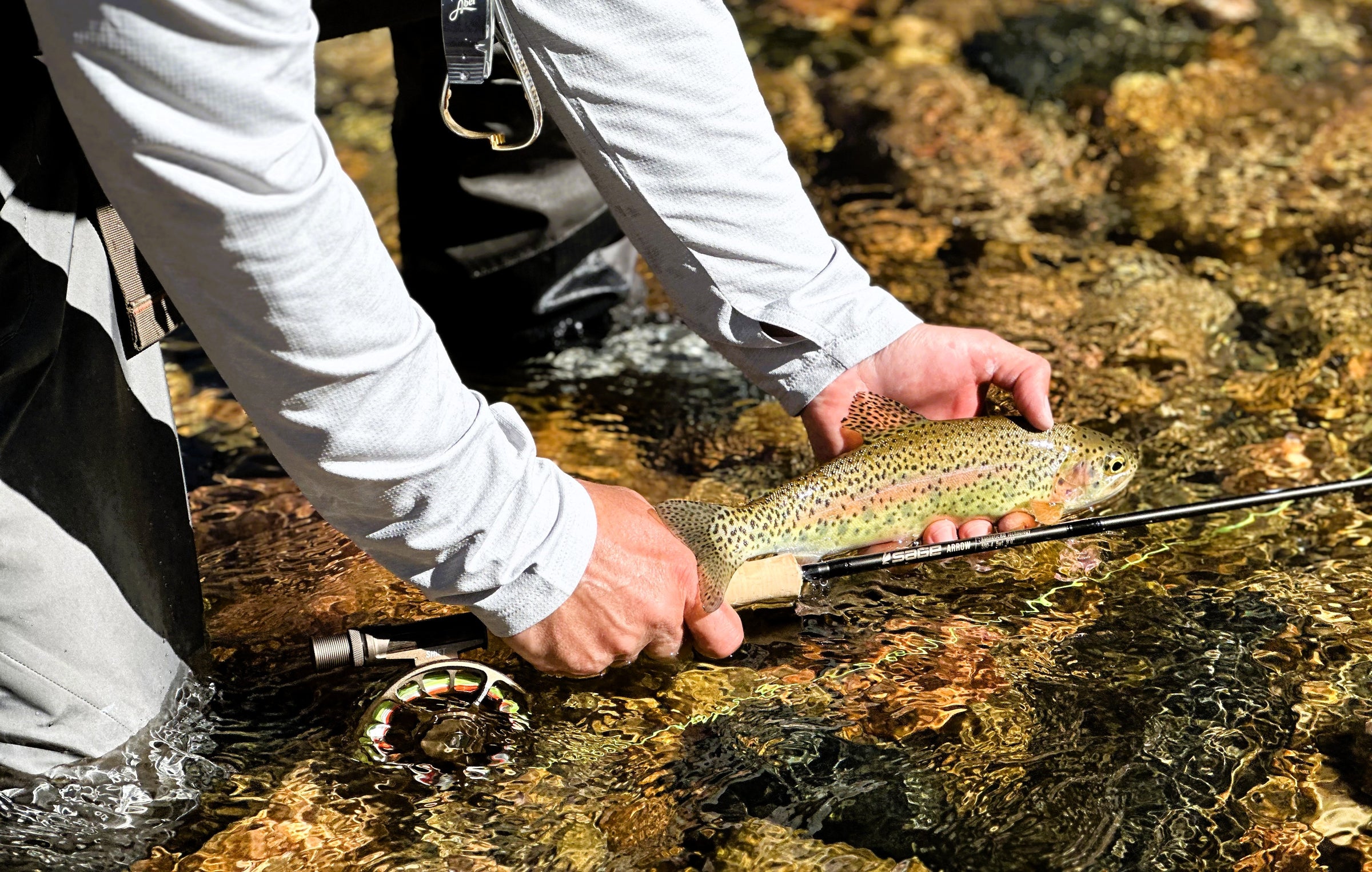 Person holding a rainbow trout over a stream with fishing gear nearby
