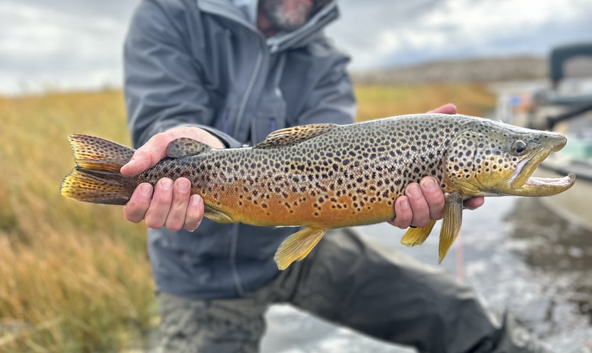 Mastering Fall Streamer Fishing: Lines, Flies, and Tactics for Excitin ...