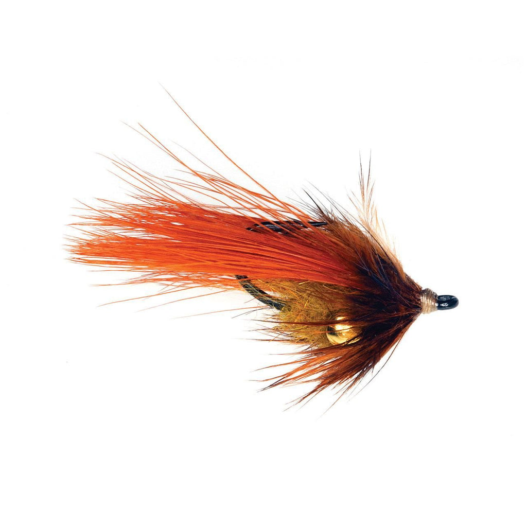 Backstabber Carp Fly