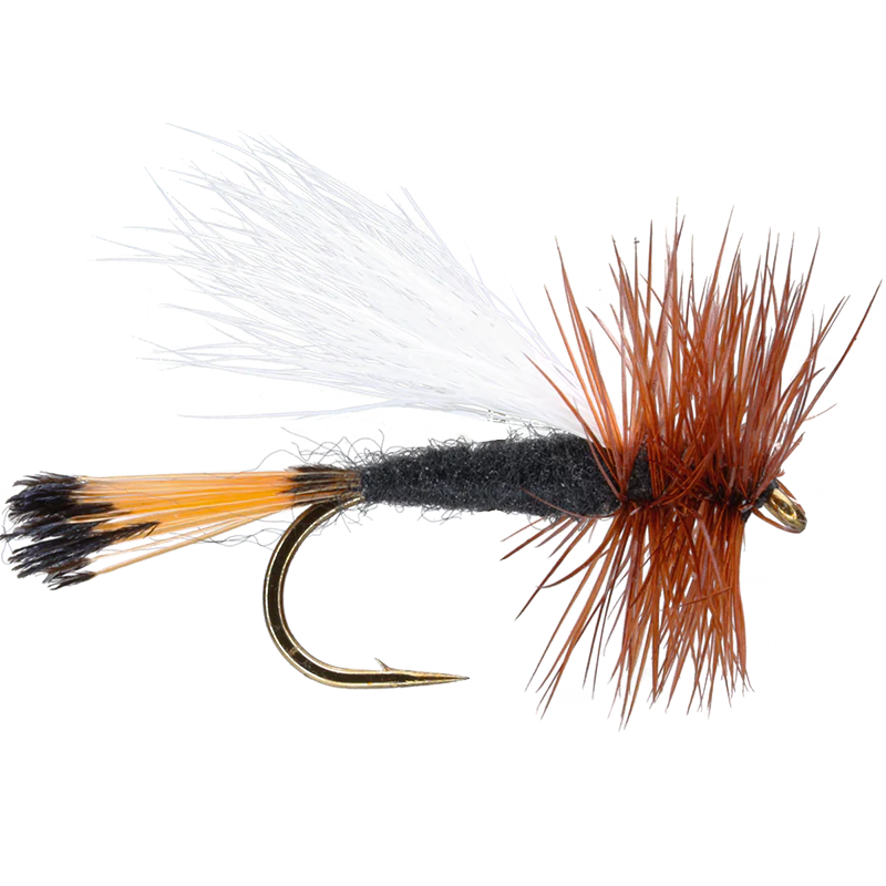 Trude Dry Fly