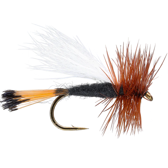 Trude Dry Fly