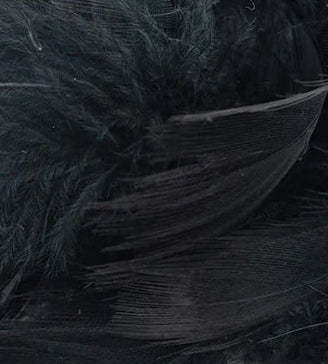 Mallard Barred Flank