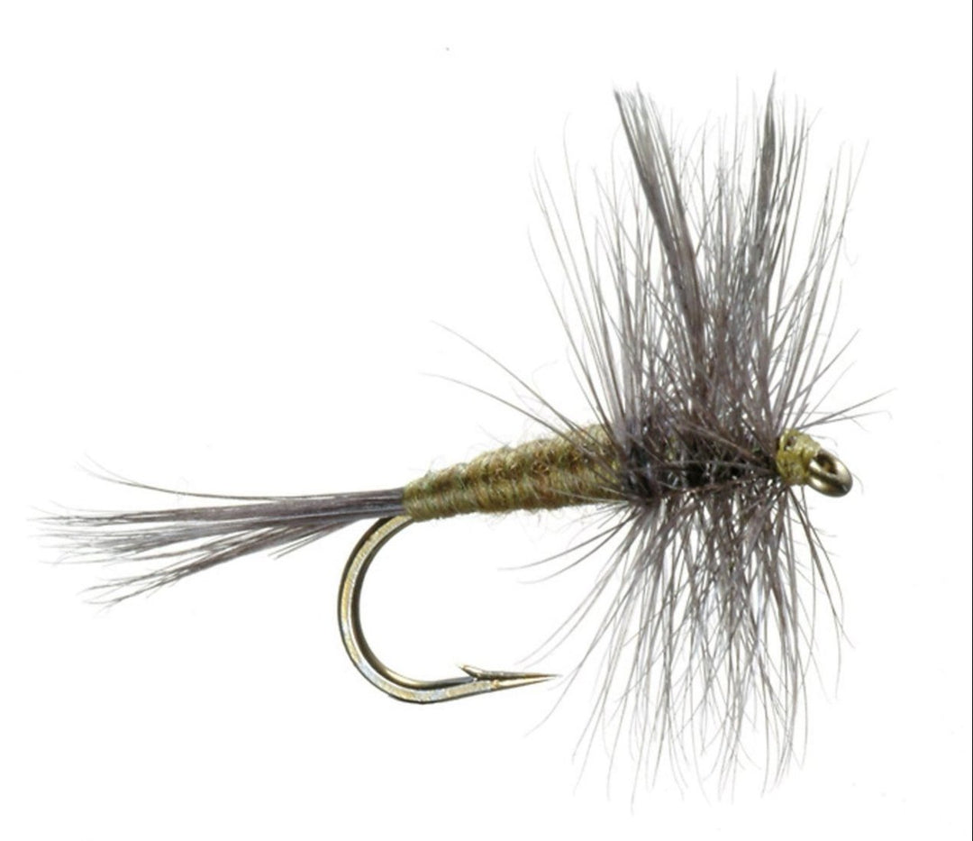 Blue Wing Olive Dry Fly BWO