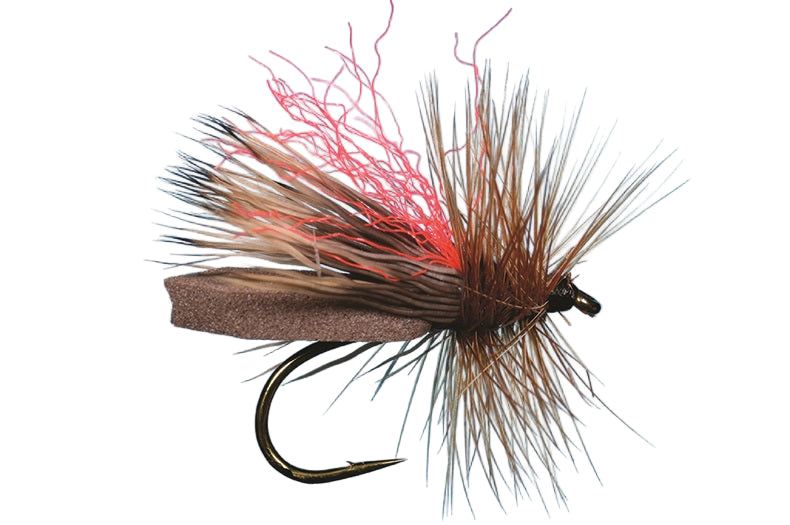 caddis fishing lure Caddis Hi-Vis Foam – St. Peter's Fly Shop
