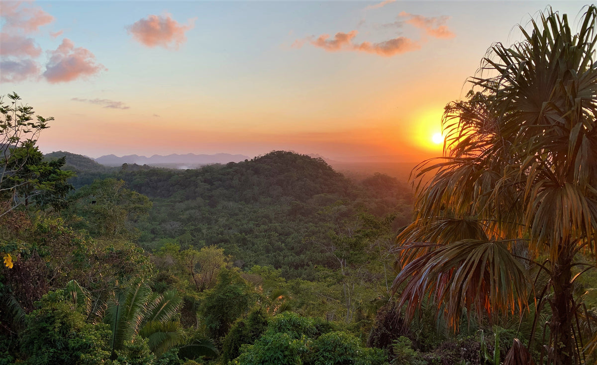 Copal Tree Lodge, Belize – St. Peter's Fly Shop