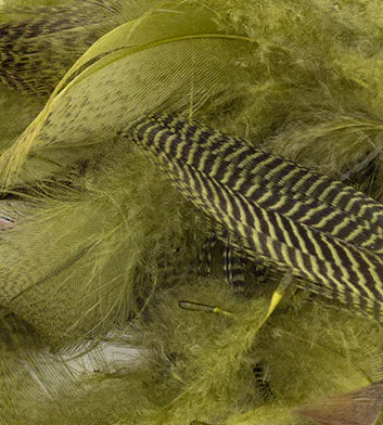 Mallard Barred Flank