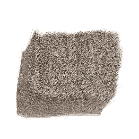 Deer Hair Short