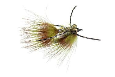 Dirty Monkey Carp Fly