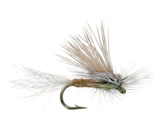 EC Caddis Dry Fly