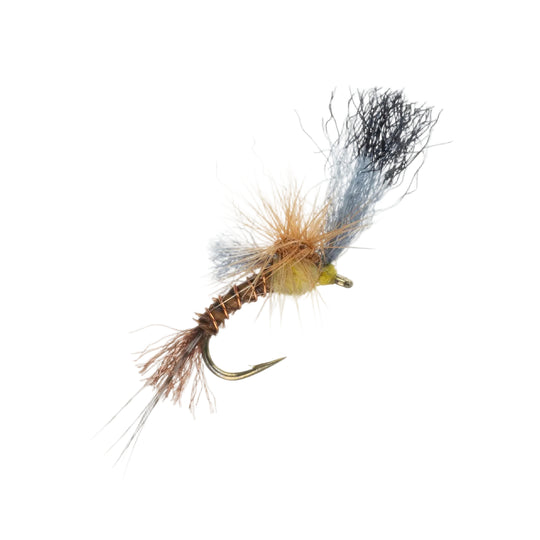 Film Critic Dry Fly