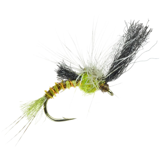 Film Critic Dry Fly