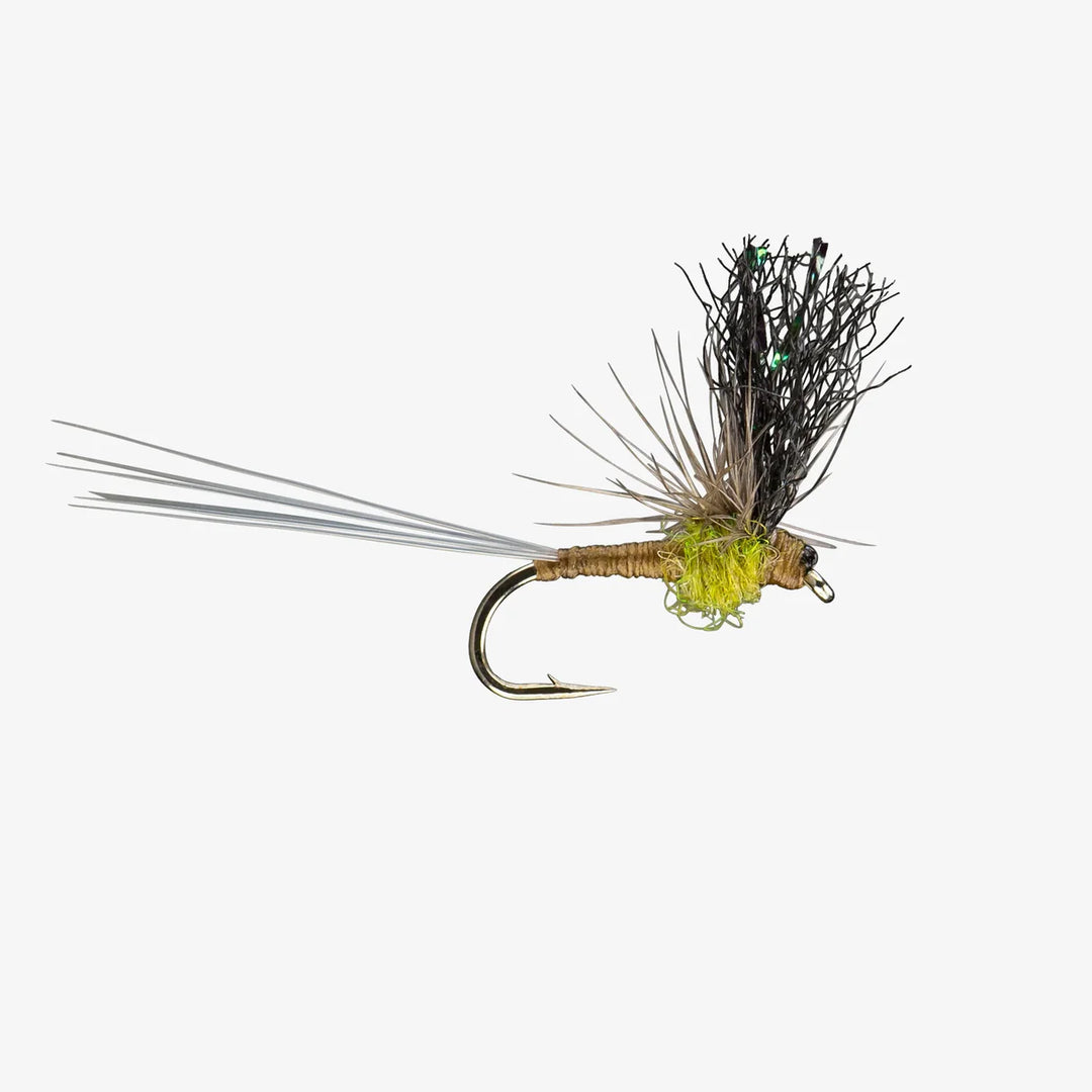 Split Flag BWO