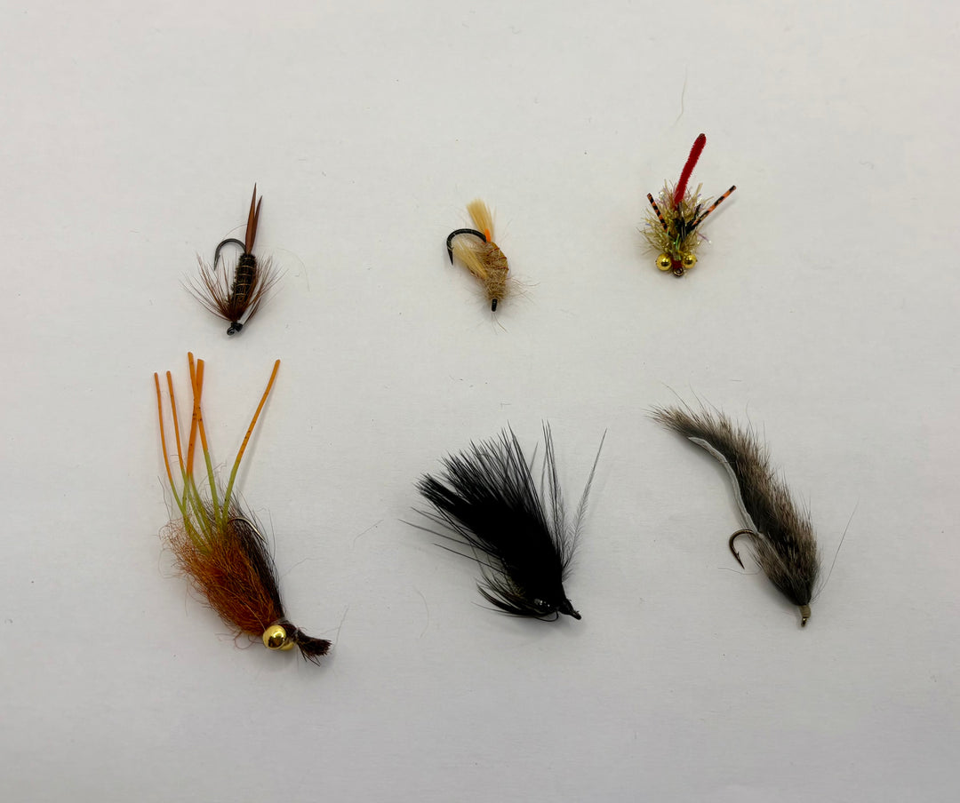 Carp Fly Assortment