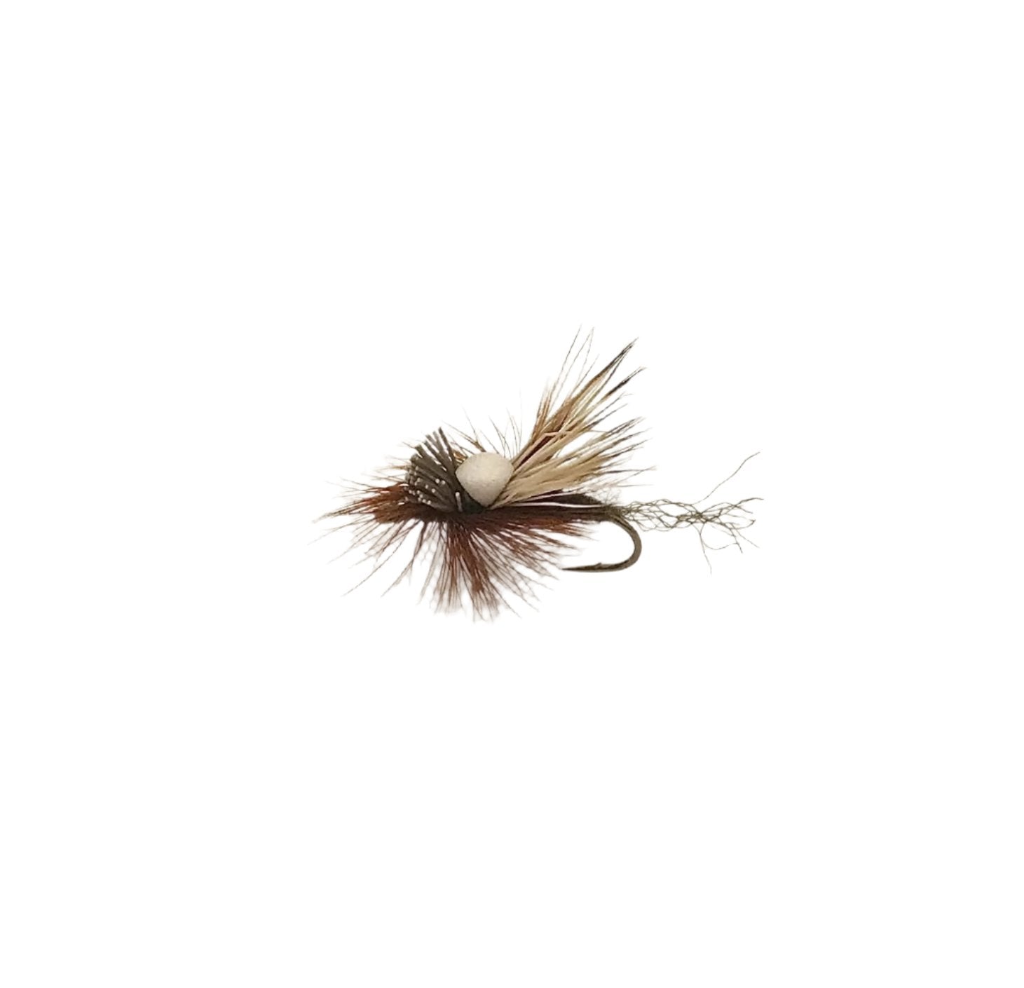 Headlight Caddis