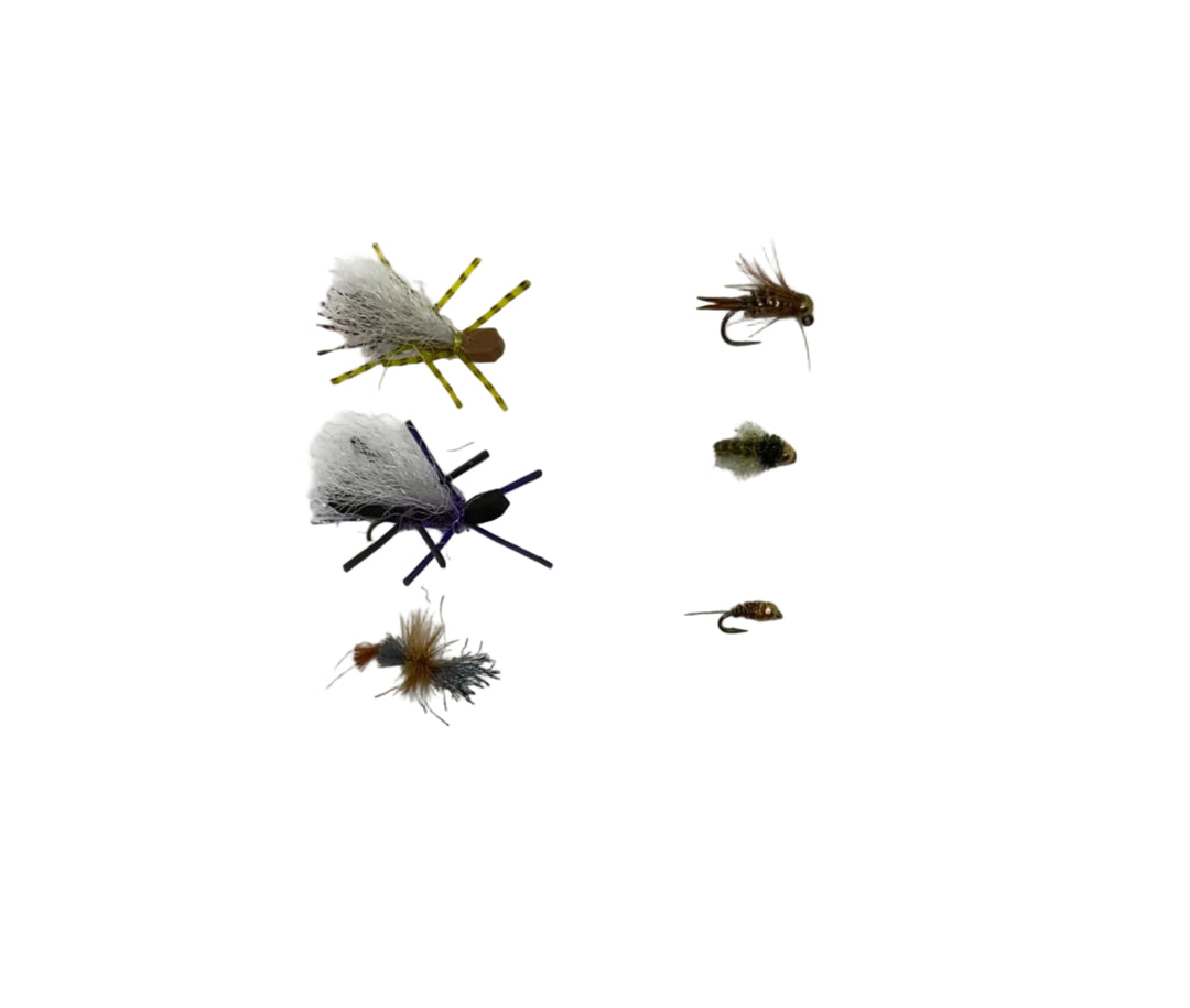 Poudre River Fly Assortment