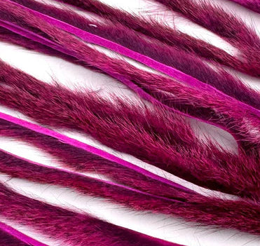 Micro Pine Squirrel Strips